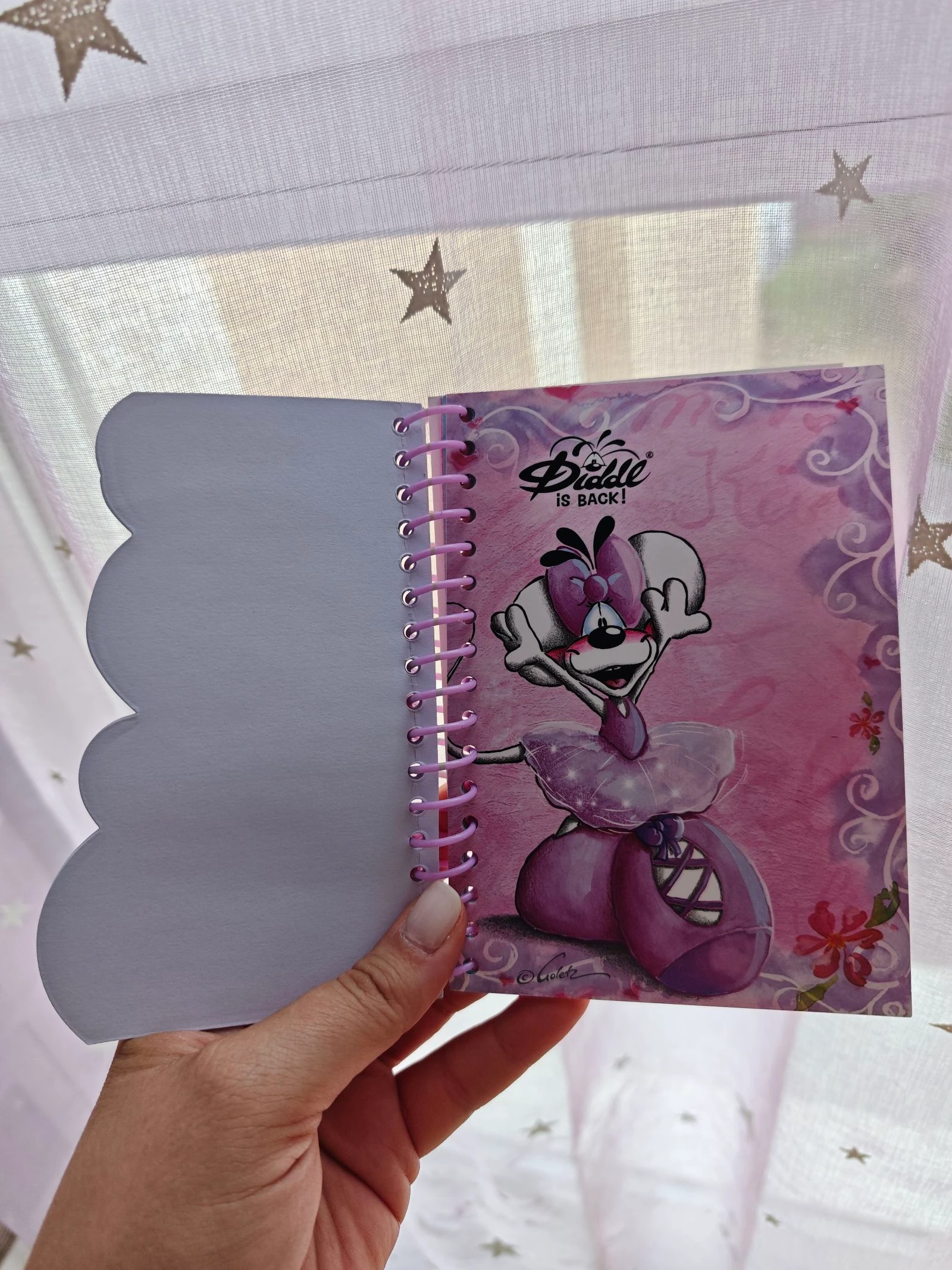 Petit cahier carnet Diddl is Back Diddlina Danseuse France A6 – photo 3
